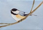 Painting Chickadee on a branch Oil on Canvas