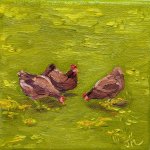 Painting Chicken trio Oil on Canvas