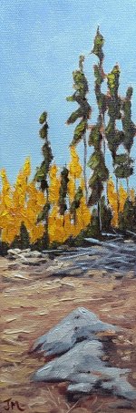 Painting The larches in the clear-cut. Oil on Gallery Wrapped Canvas